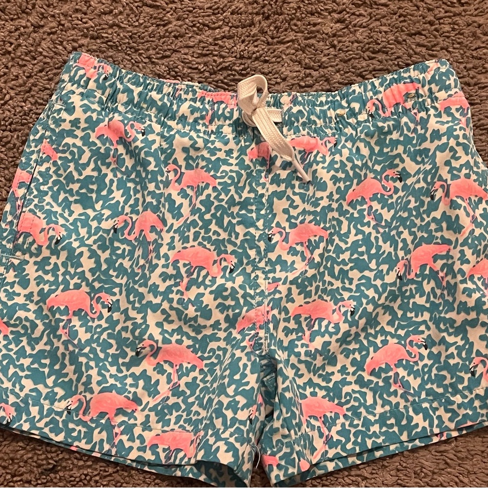 Chubbies Pink and Blue Kids Swim Trunks